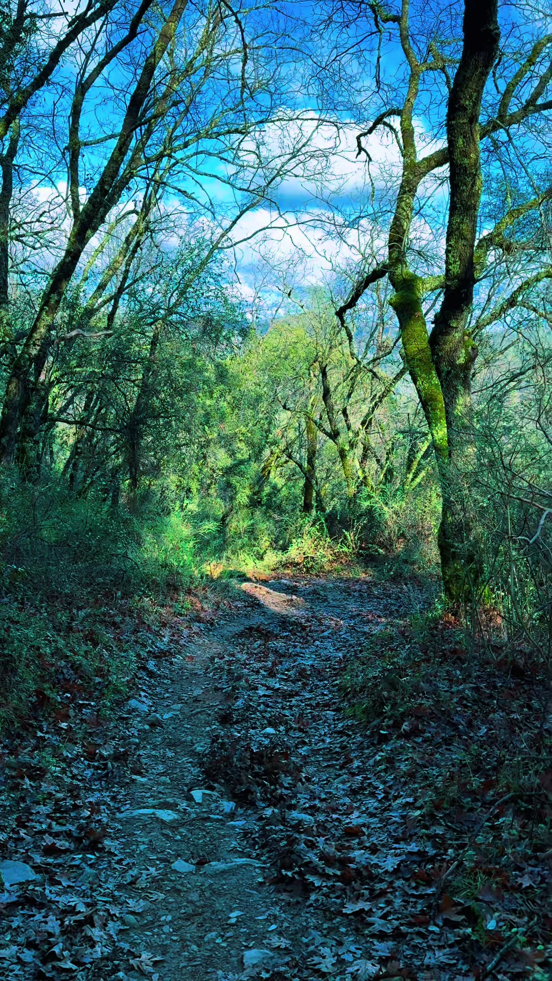 @MyTrailJourney