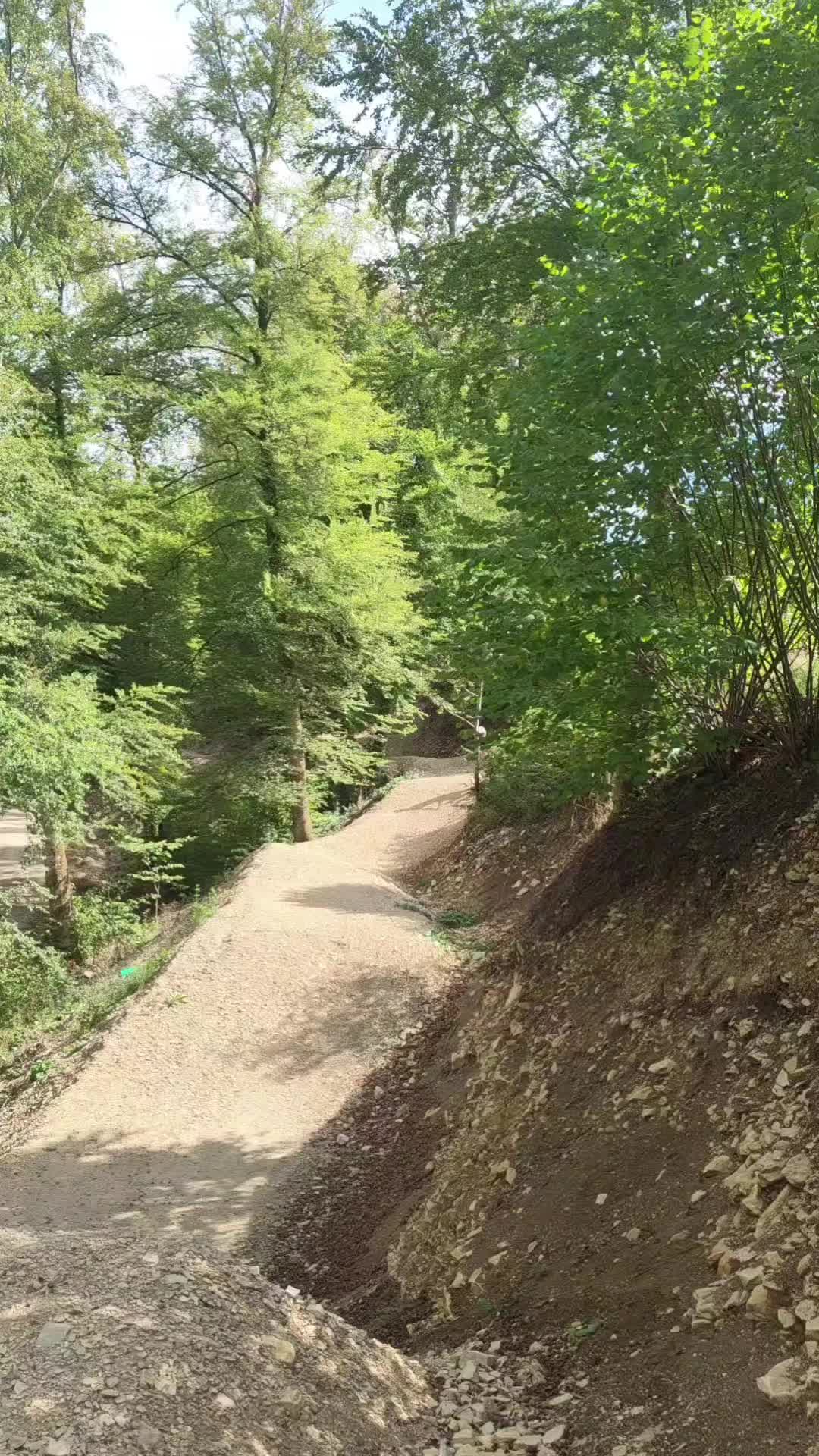 @elias123mtb