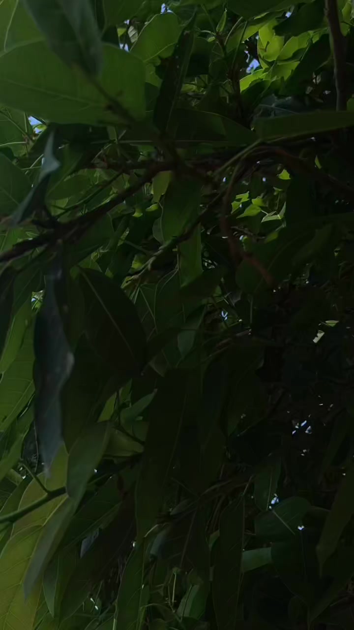 @𝑬 𝑴 𝑨 𝑵 ♥️