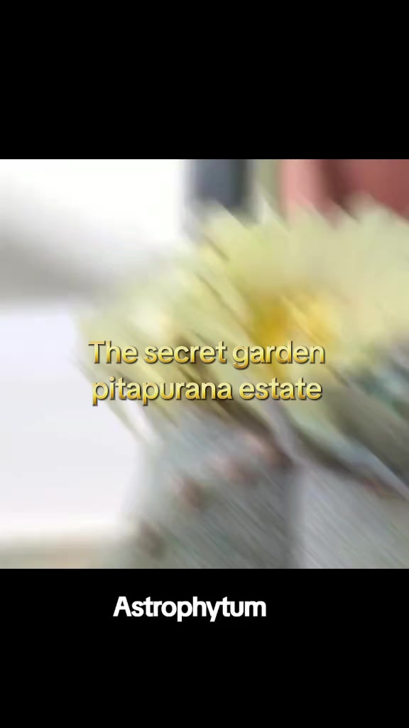 @The.secret.Garden.KKSFSCenter