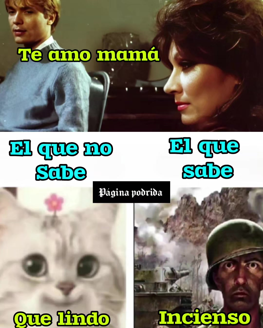 @p&aacute;gina podrida