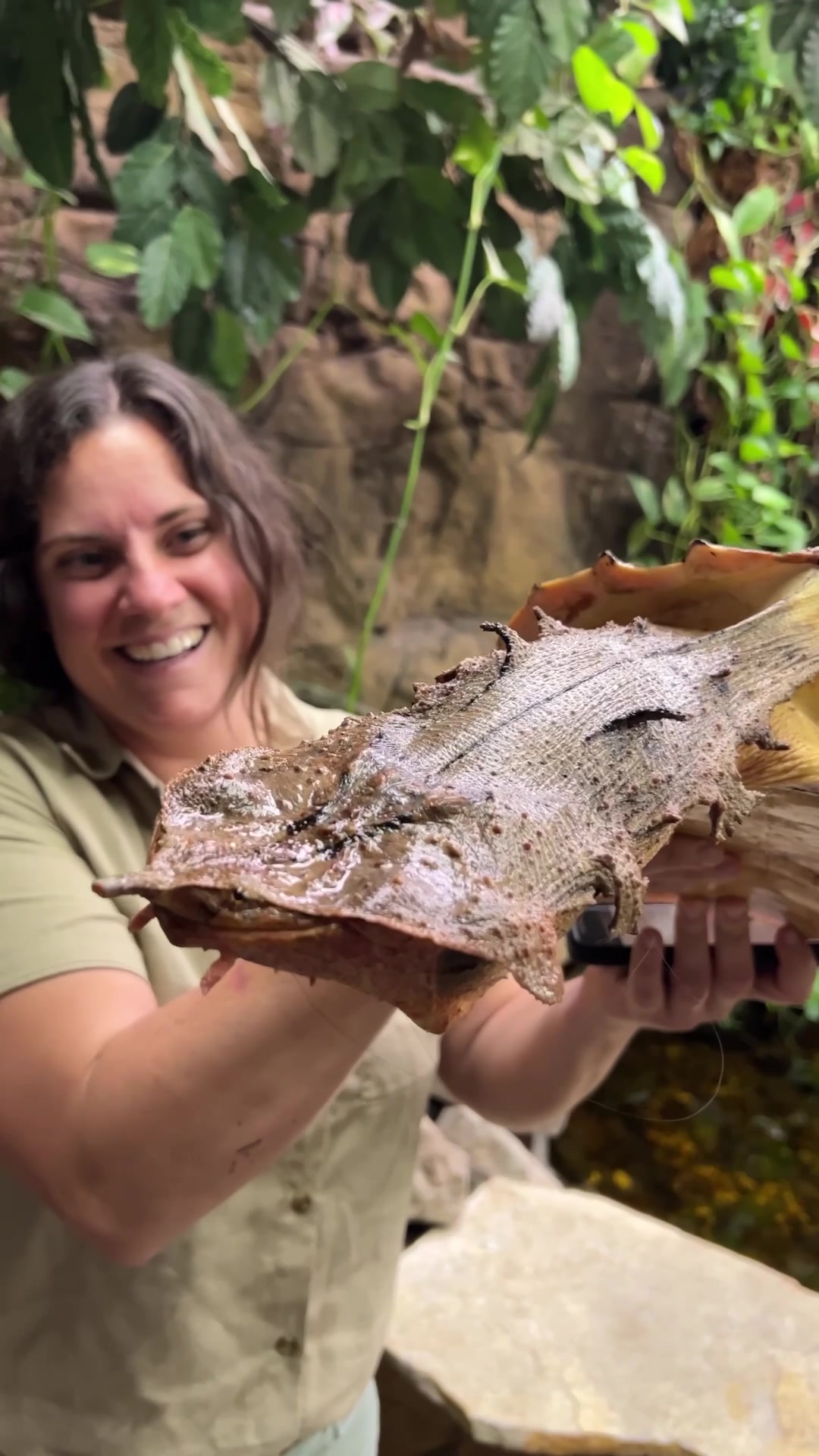 @The Reptile Zoo