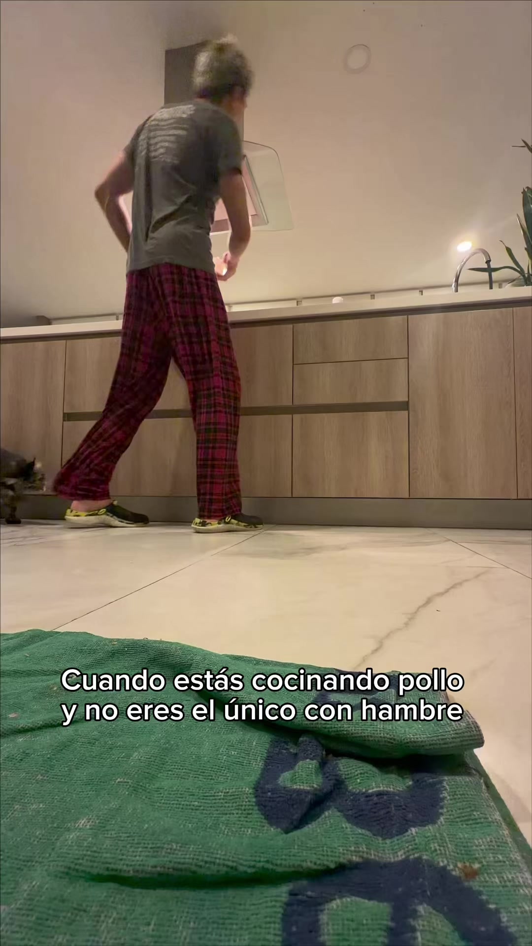 @Pietro Albieri 🤌