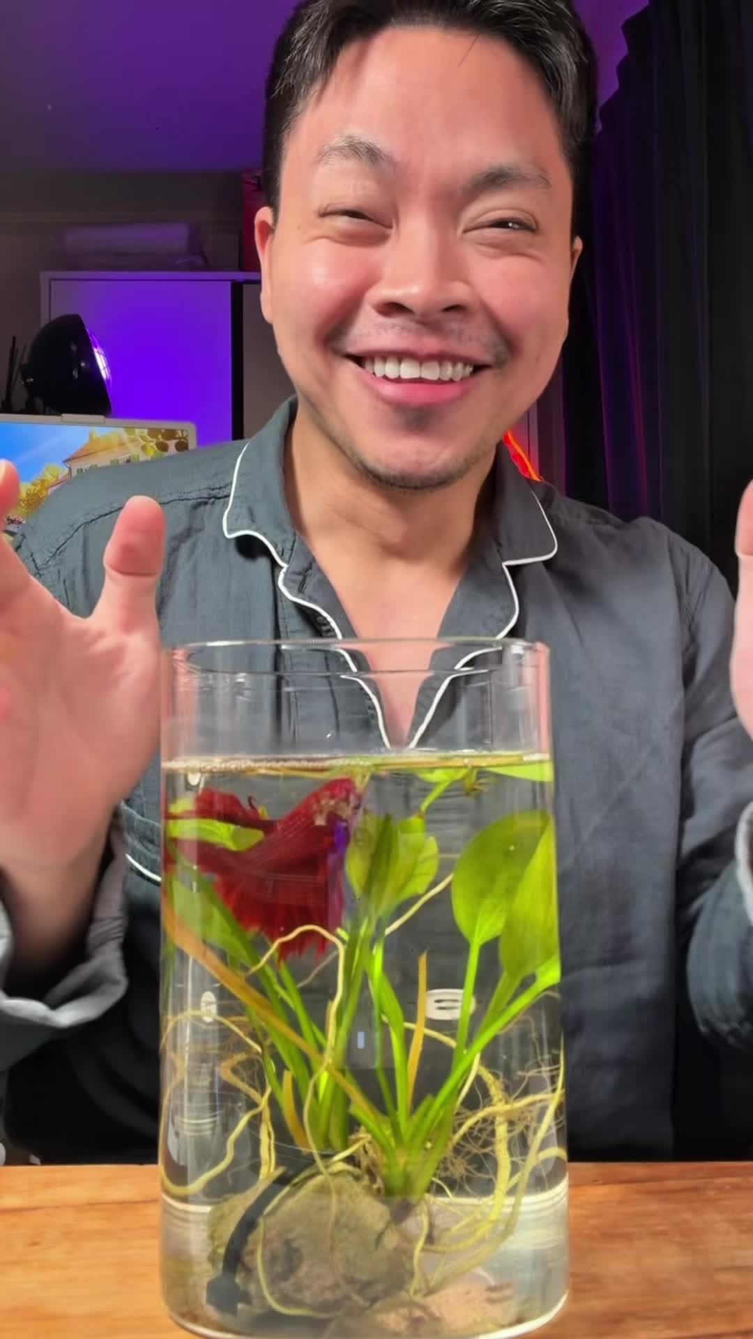 @Kongwpm