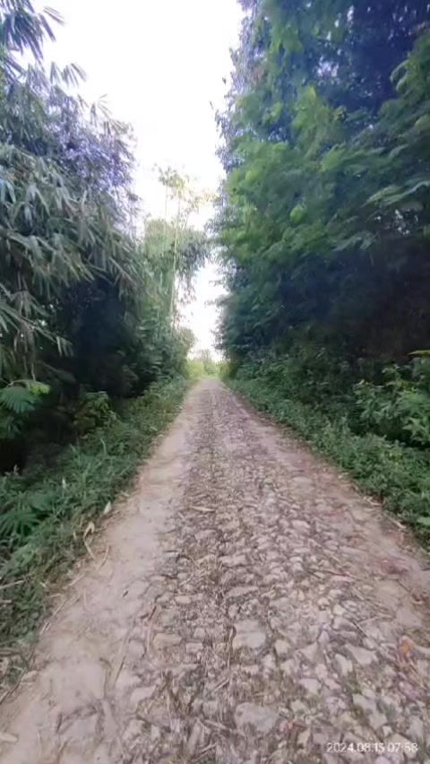 @vieagnur