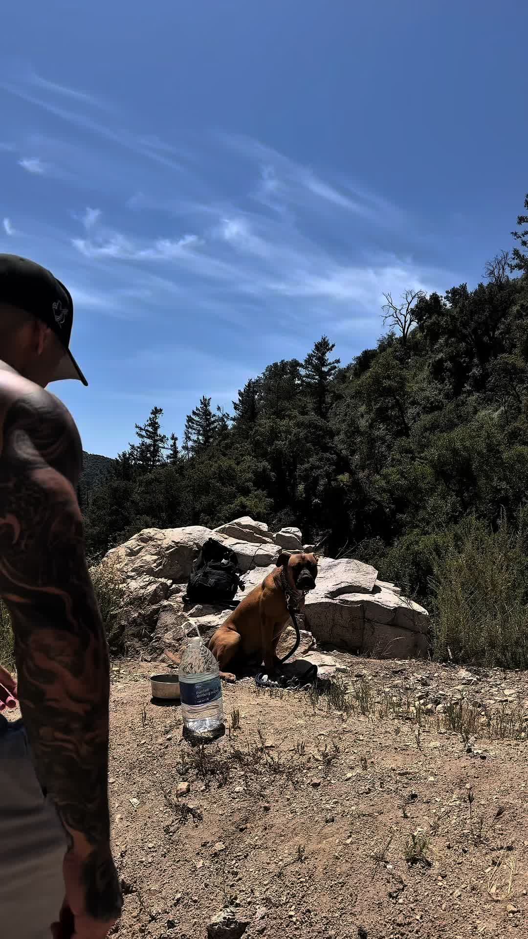 @projectd.fit