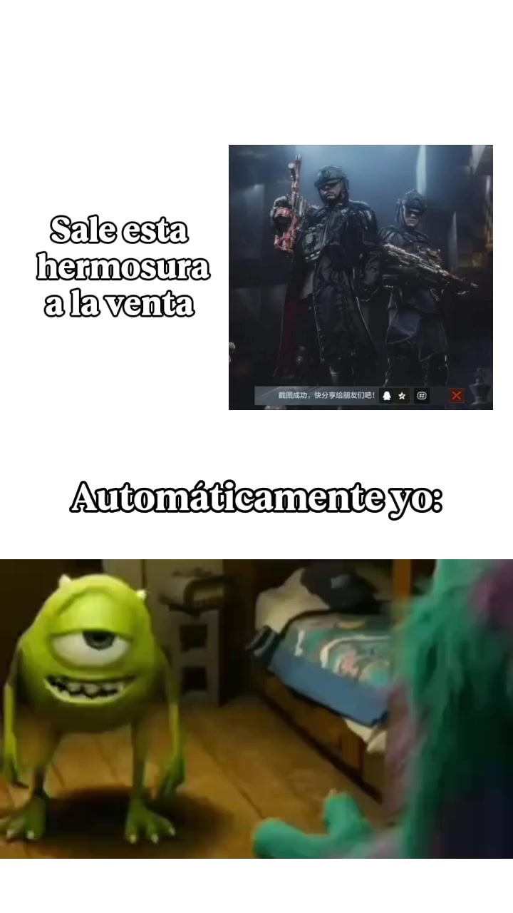 @gato de combate