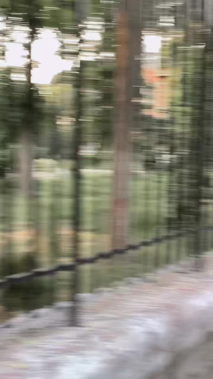 @𝐌𝐀𝐑𝐃𝐀𝐍 𝐊𝐈𝐍𝐆