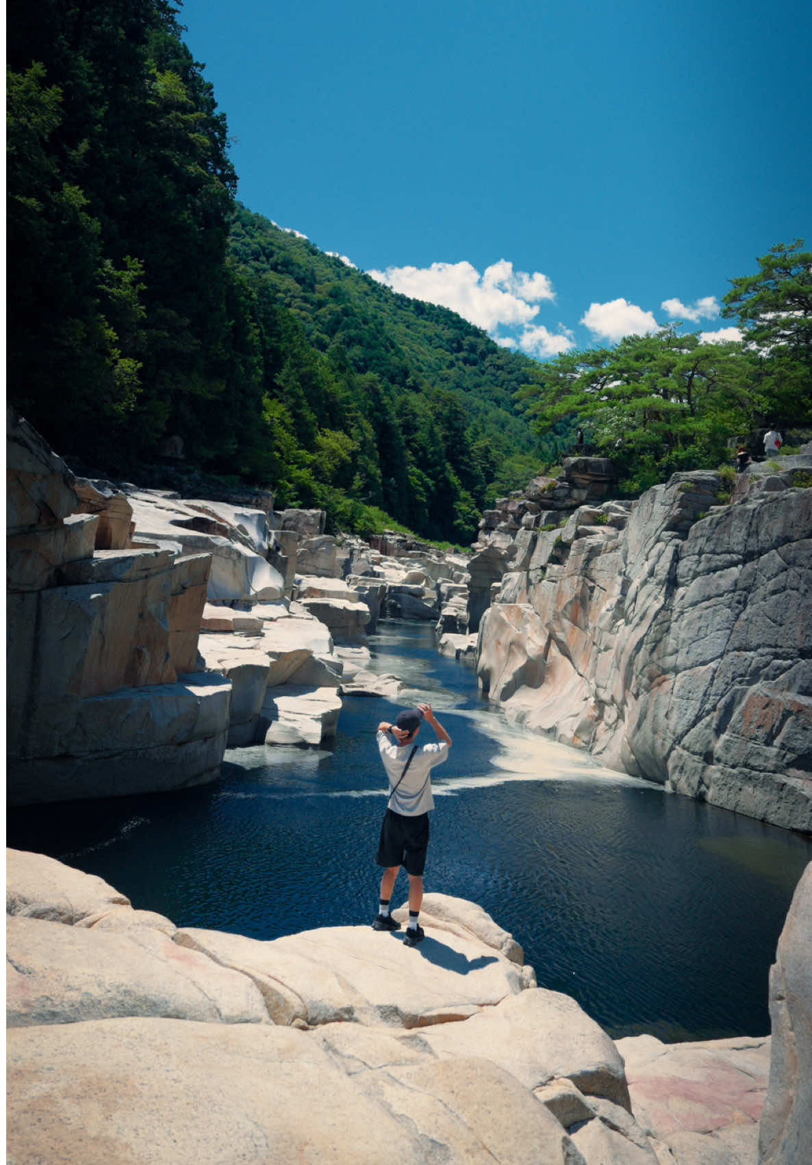 @Cotton | Japan Travel 🇯🇵