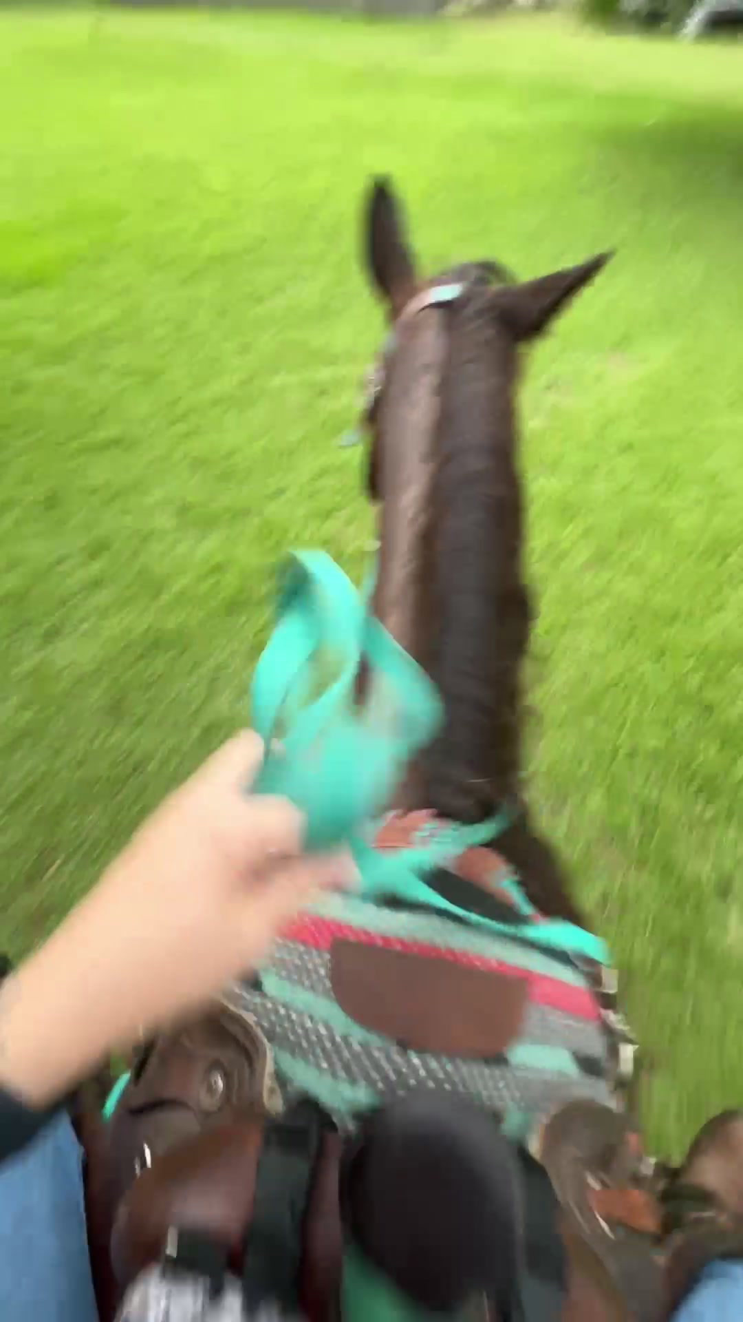 @holly_wood2427