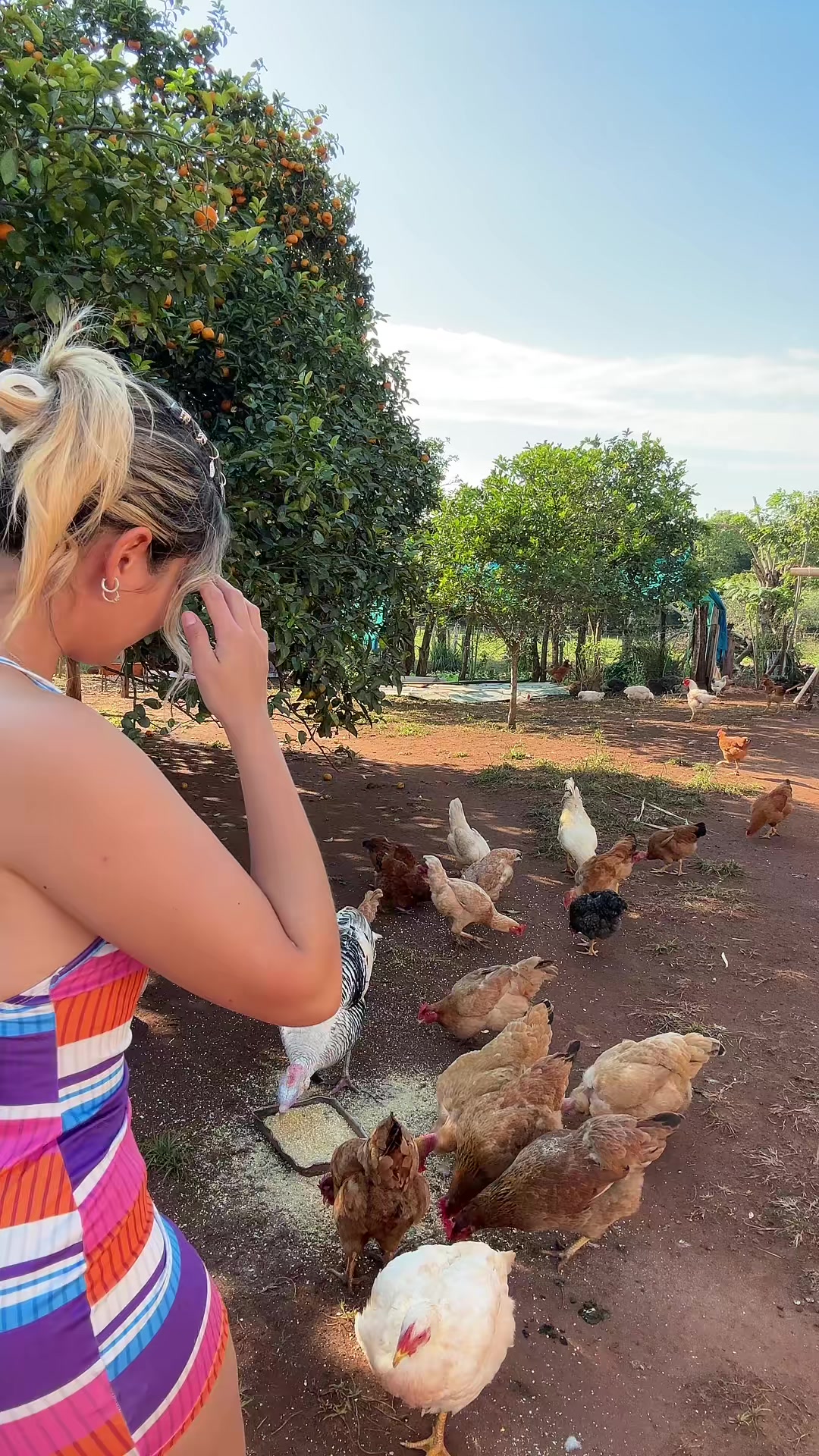 @🦋🌾Vida de Campo 🦋🌾