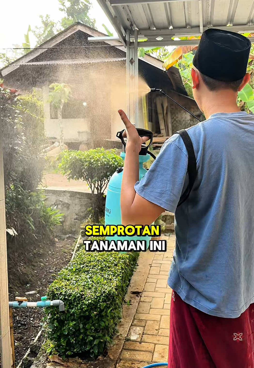 @Cepmuslih2711