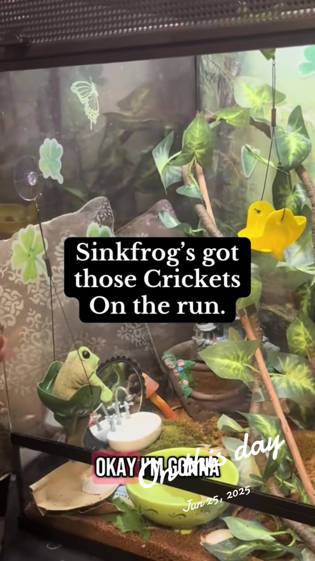 @originalSinkfrog