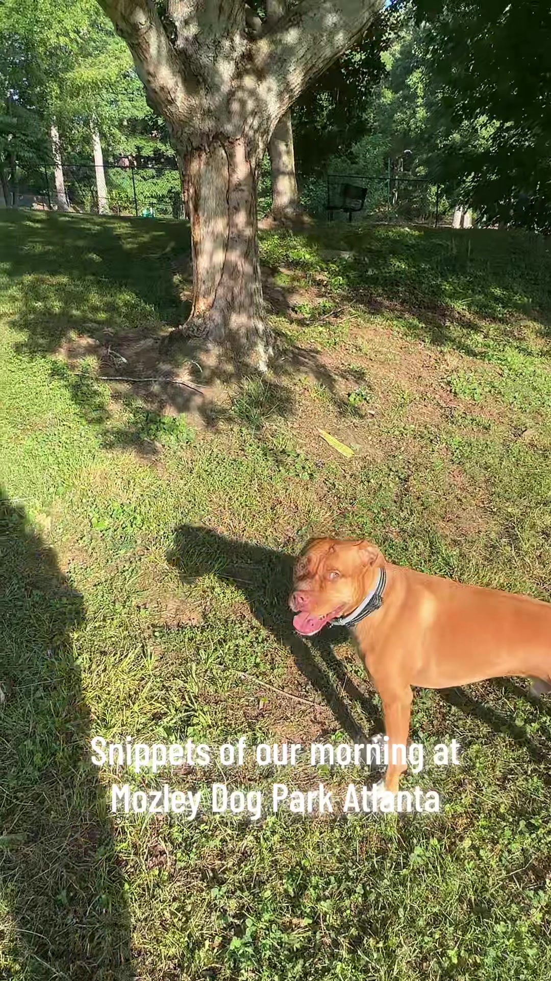 @ⓉⓐⓣⓣⓔⓓⒼⓐⓜⓜⓨⓞⓕ④