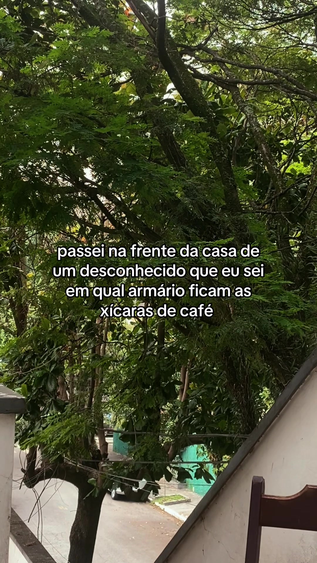 @©️amila 🪡alves