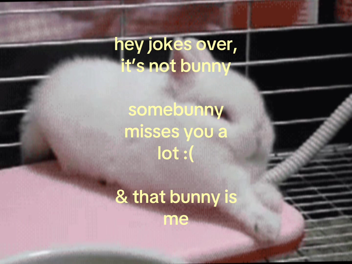 @❀