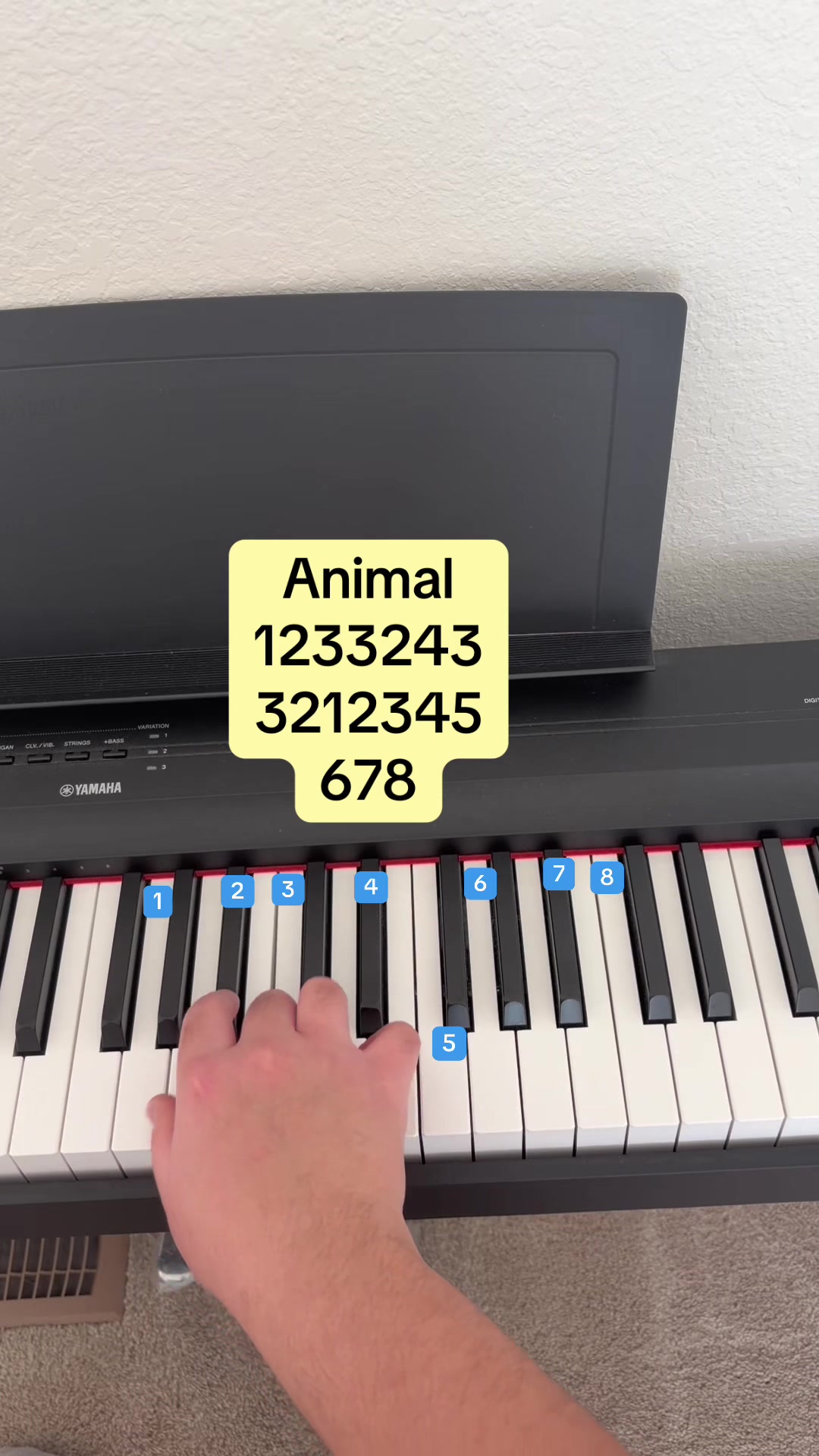 @Piano 🎹