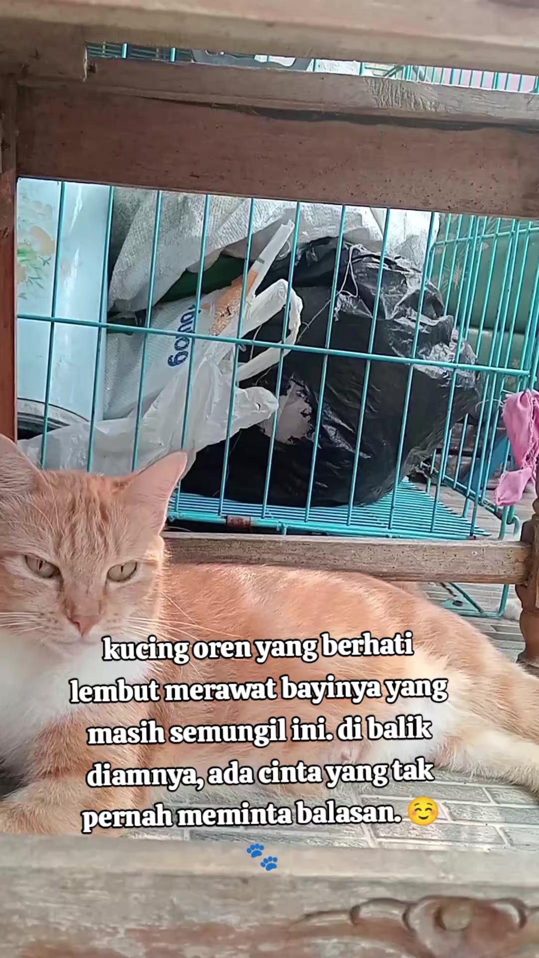 @Lina herlina