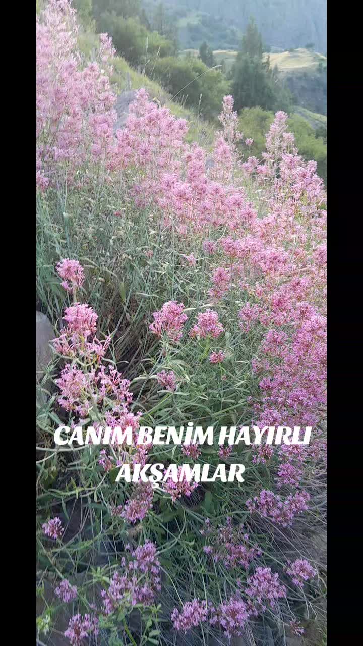 @Hasan Yılmaz