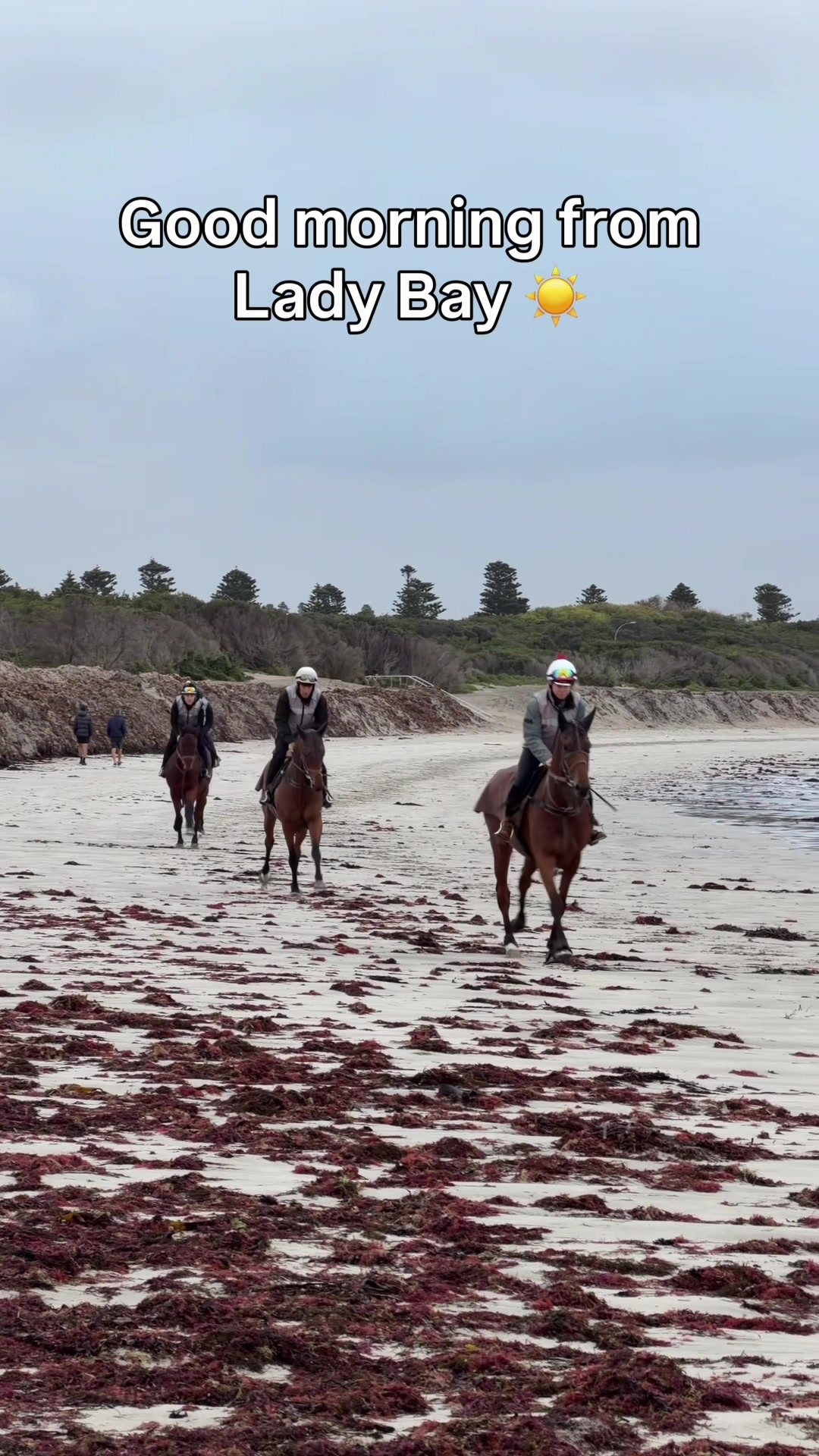 @Racing Victoria