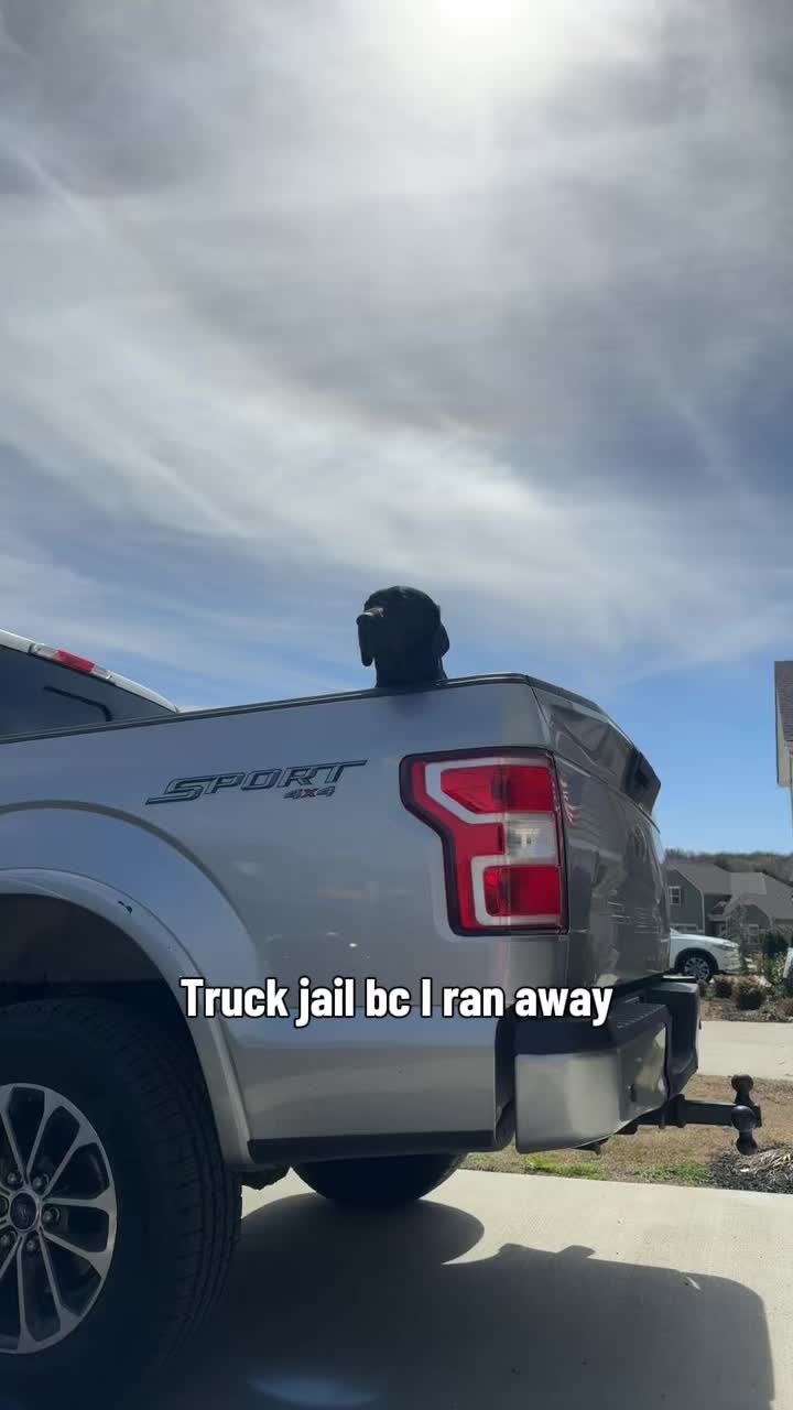 @ghostblacklab