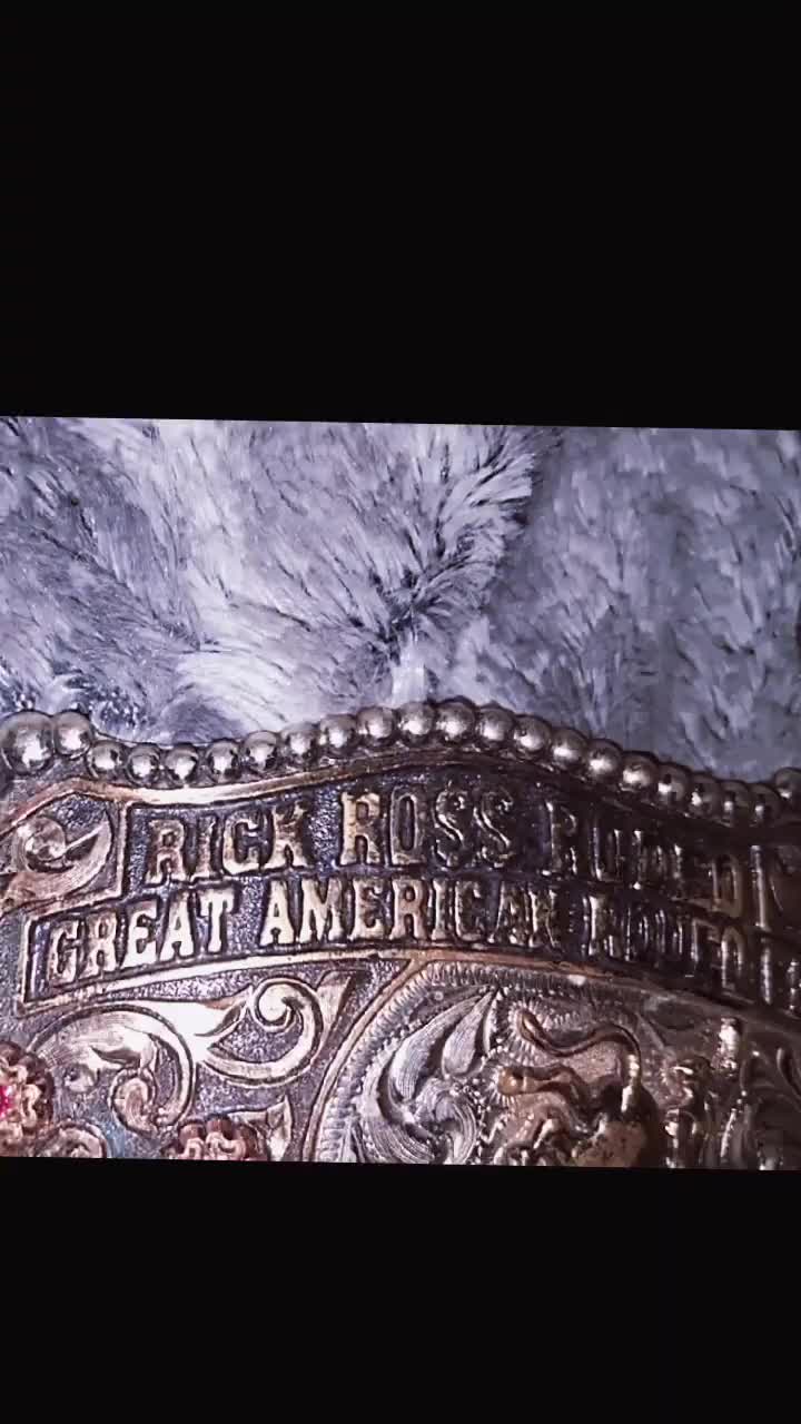 @RickyRingerDaBullStinger