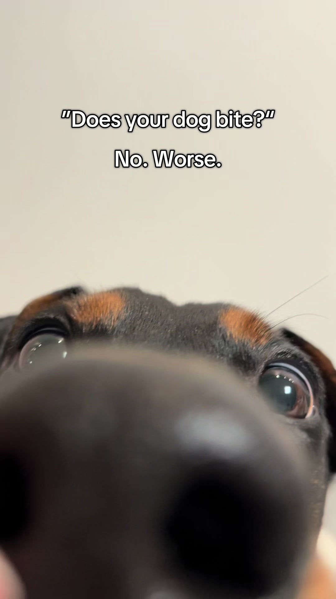 @AlvaTheHotDog