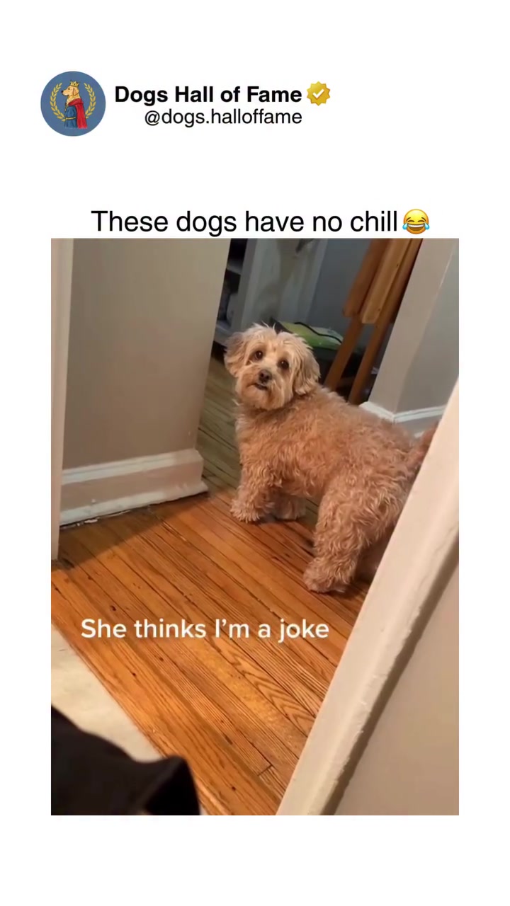 @sillyhop216