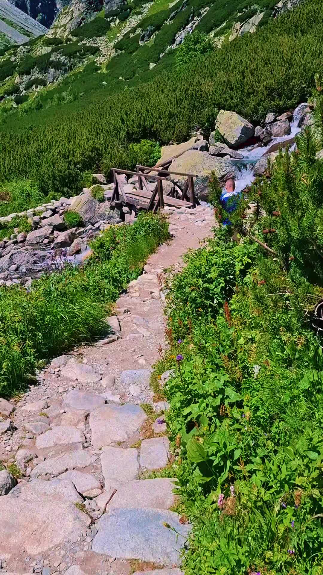 @SebekK🦜🐍...🧗🏔🩵⛰️.🚵♂️🔥