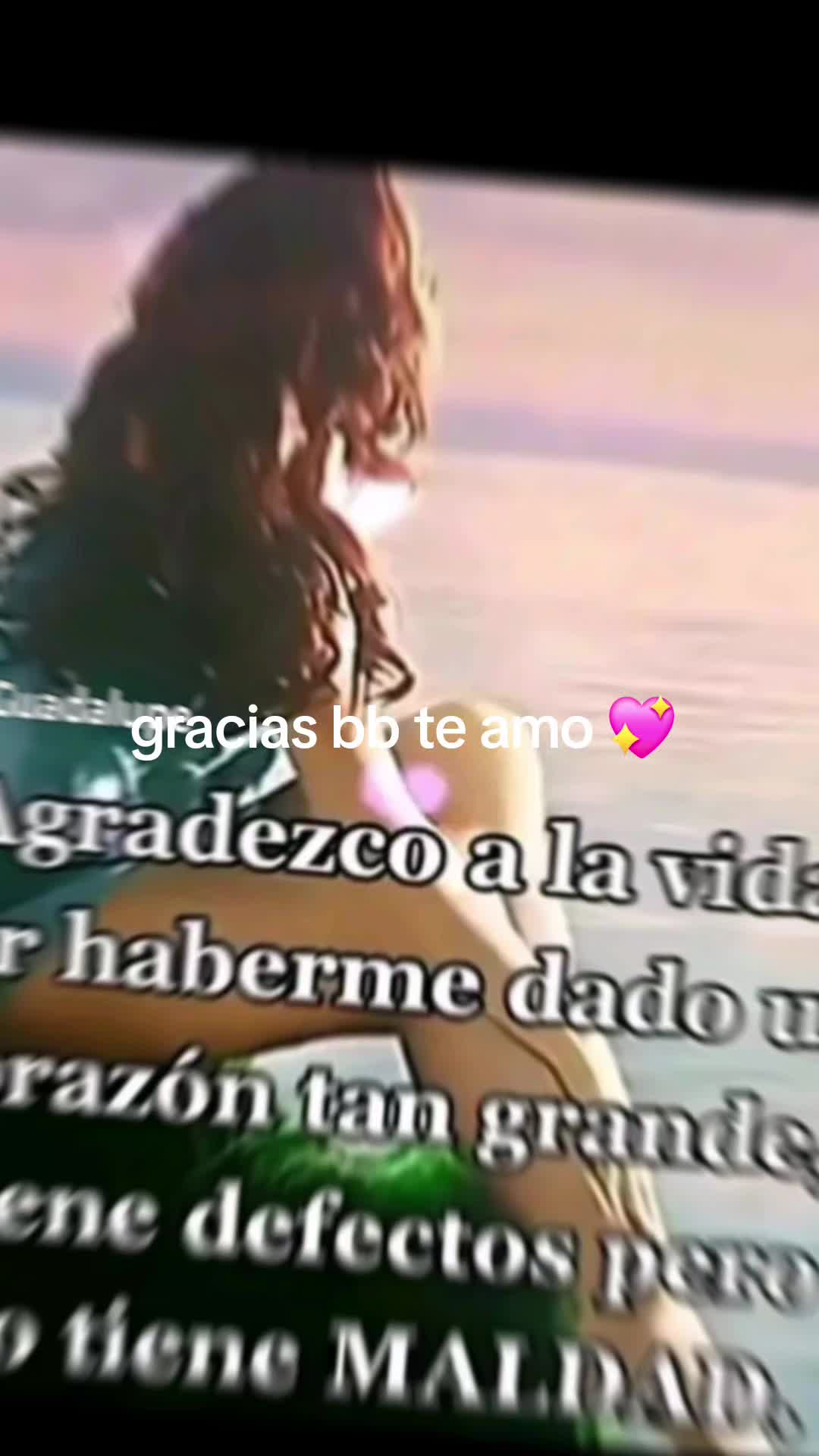 @lizeth melgar prohibida