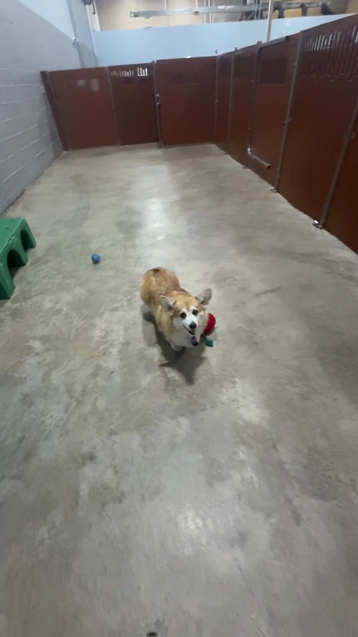 @CampBowWow Eatontown