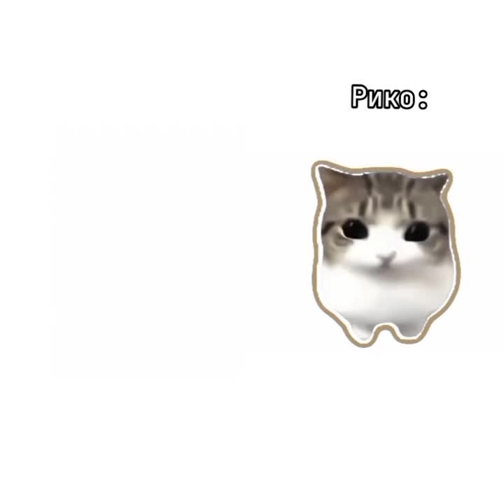 @Мурлыка🥐