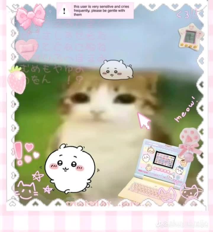 @นกฮูกแมว
