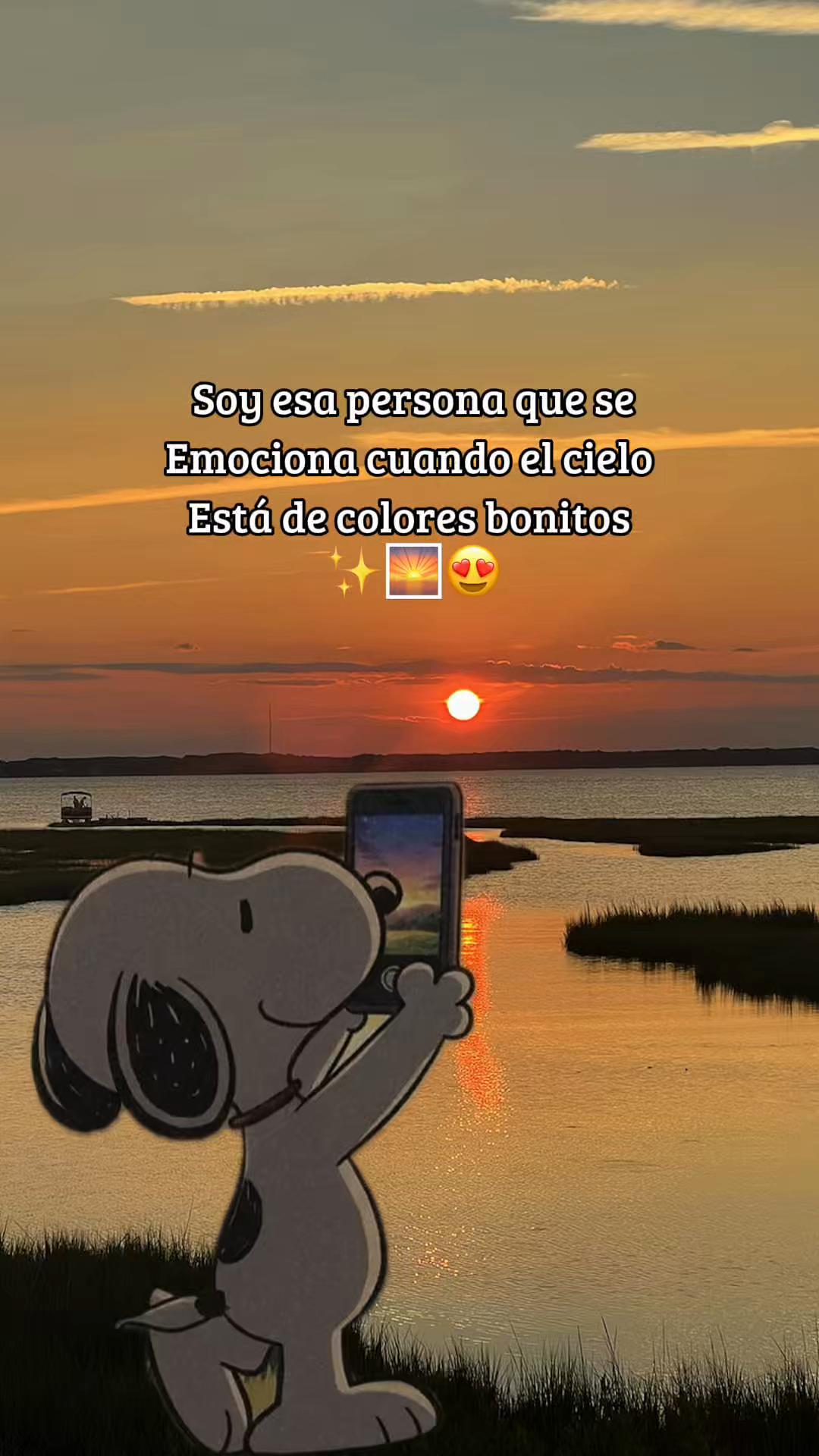 @sindyflores730