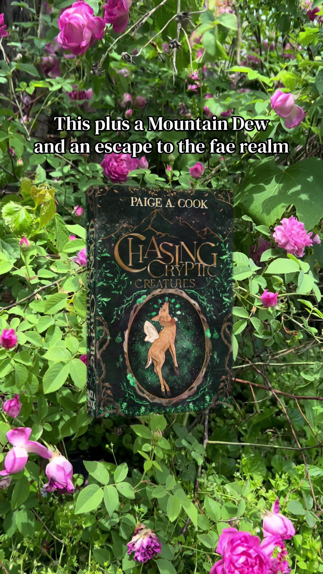@Author Paige A. Cook