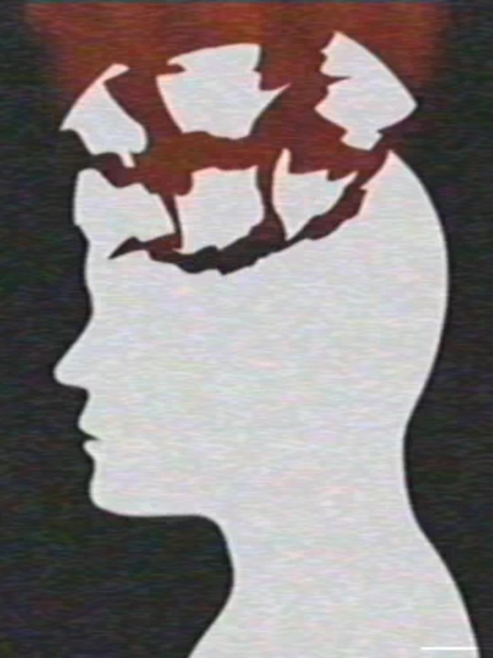 @ʇɹɐƃƃǝɹʍɐƃ³⁷