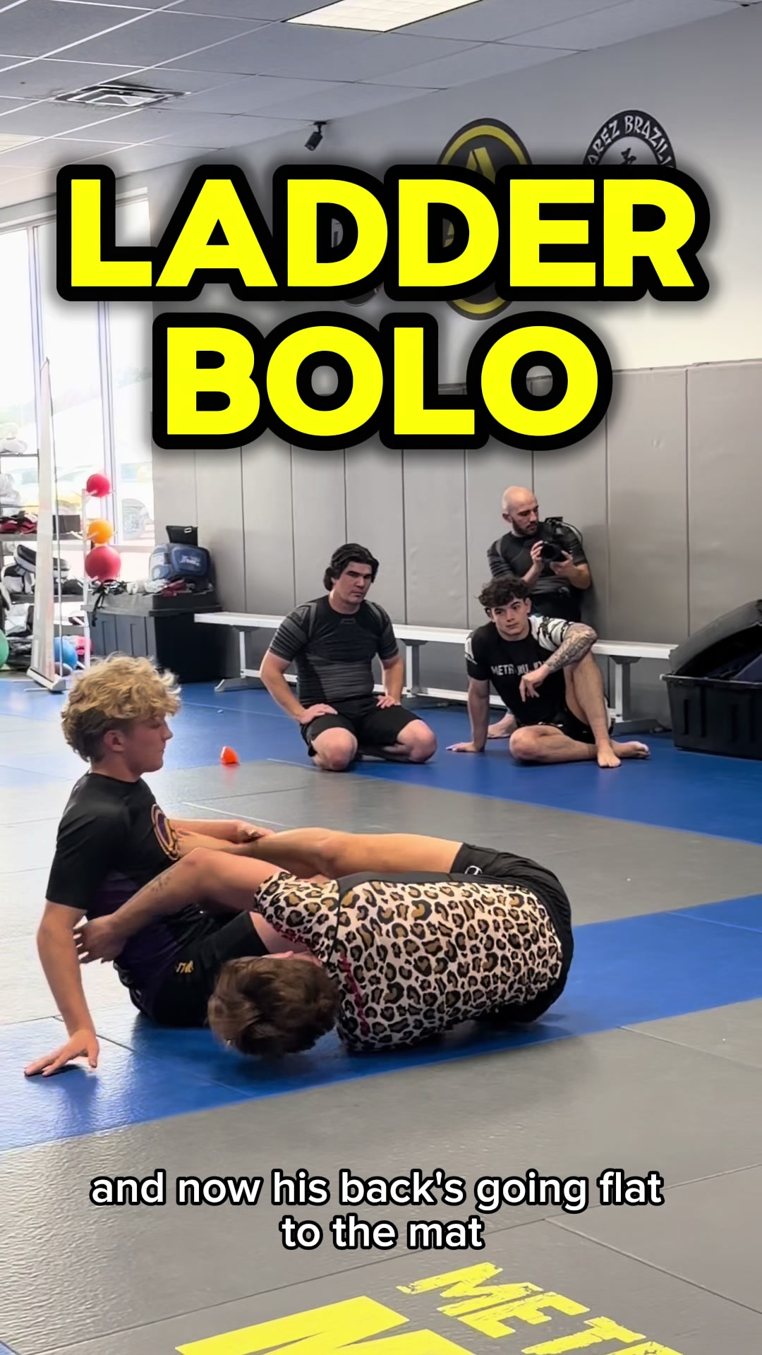 @bologod