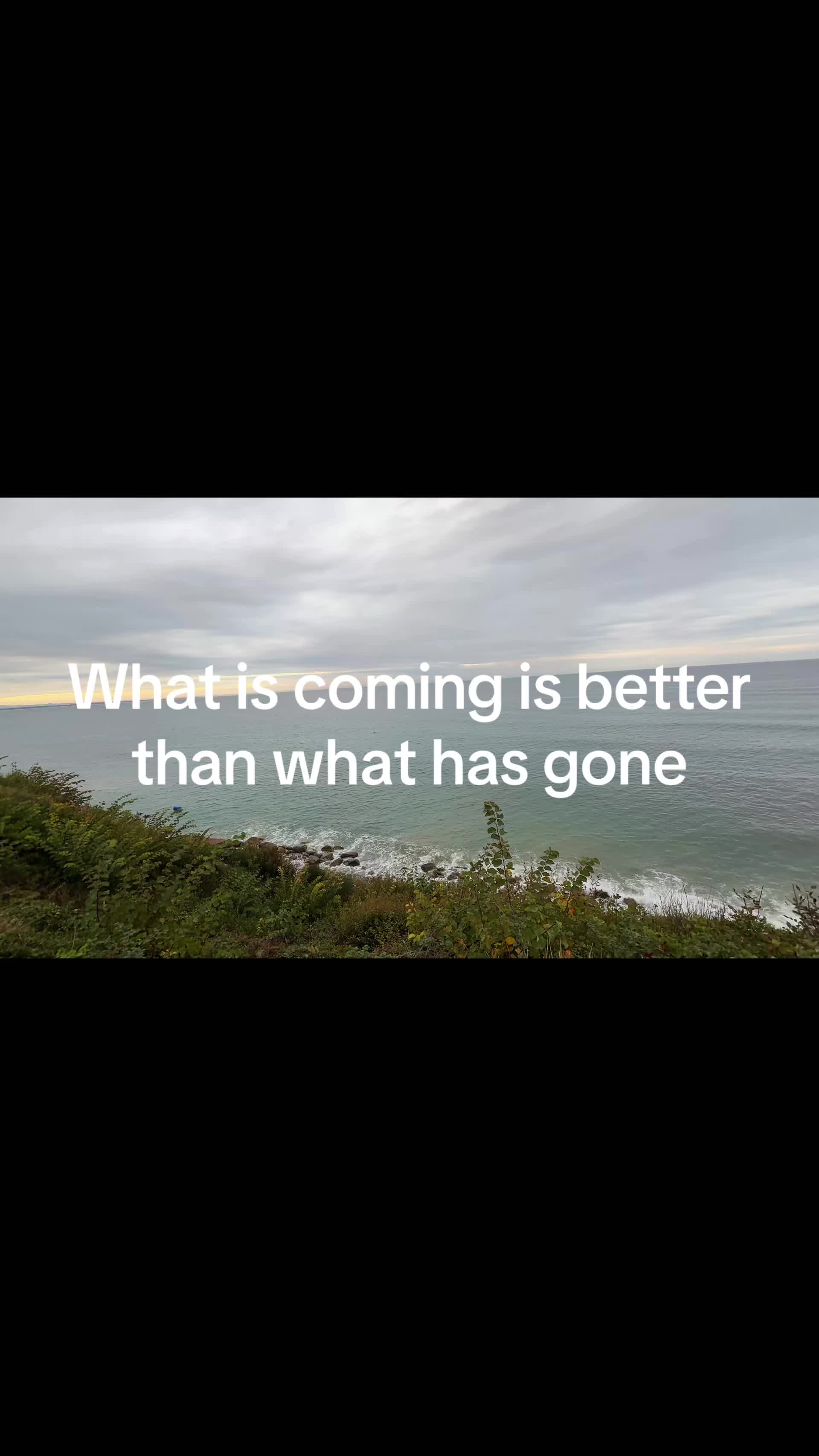 @soulreacher