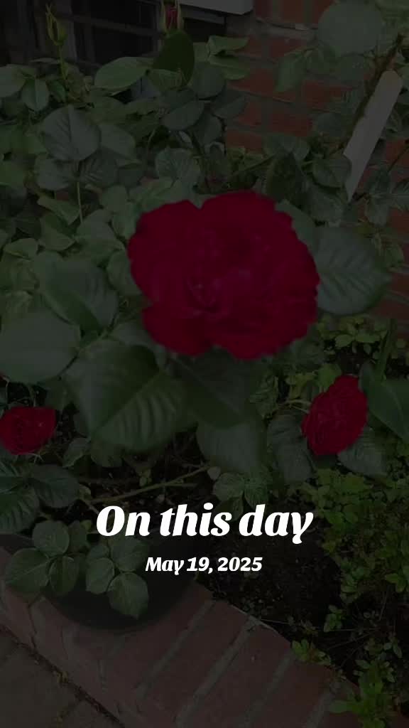 @আহমেদ ফয়সাল🇧🇩