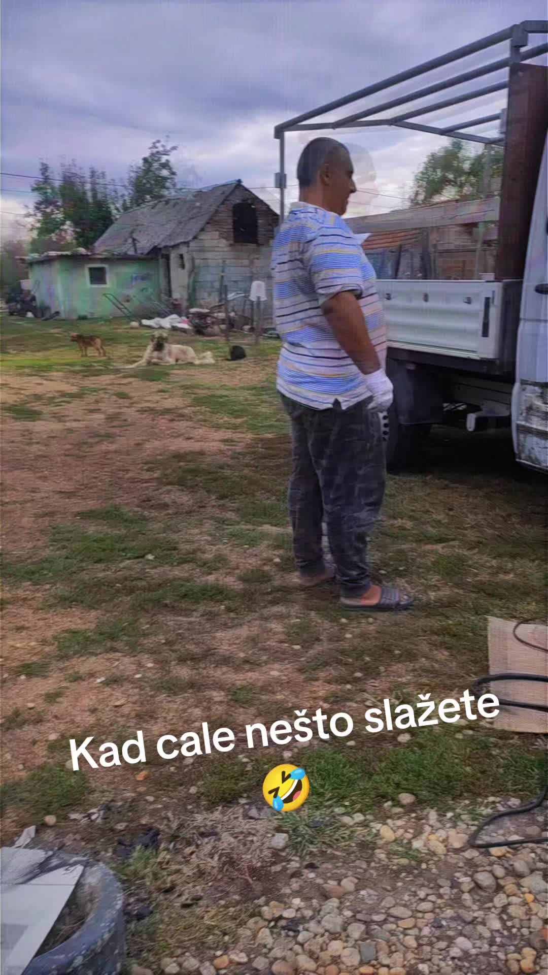 @masa amic