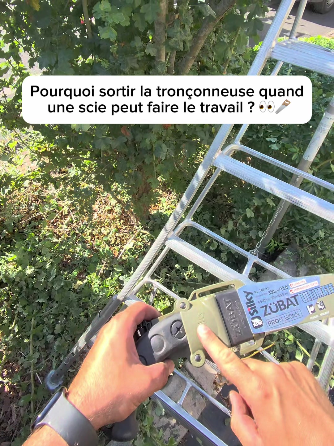 @Steve Le Jardinier