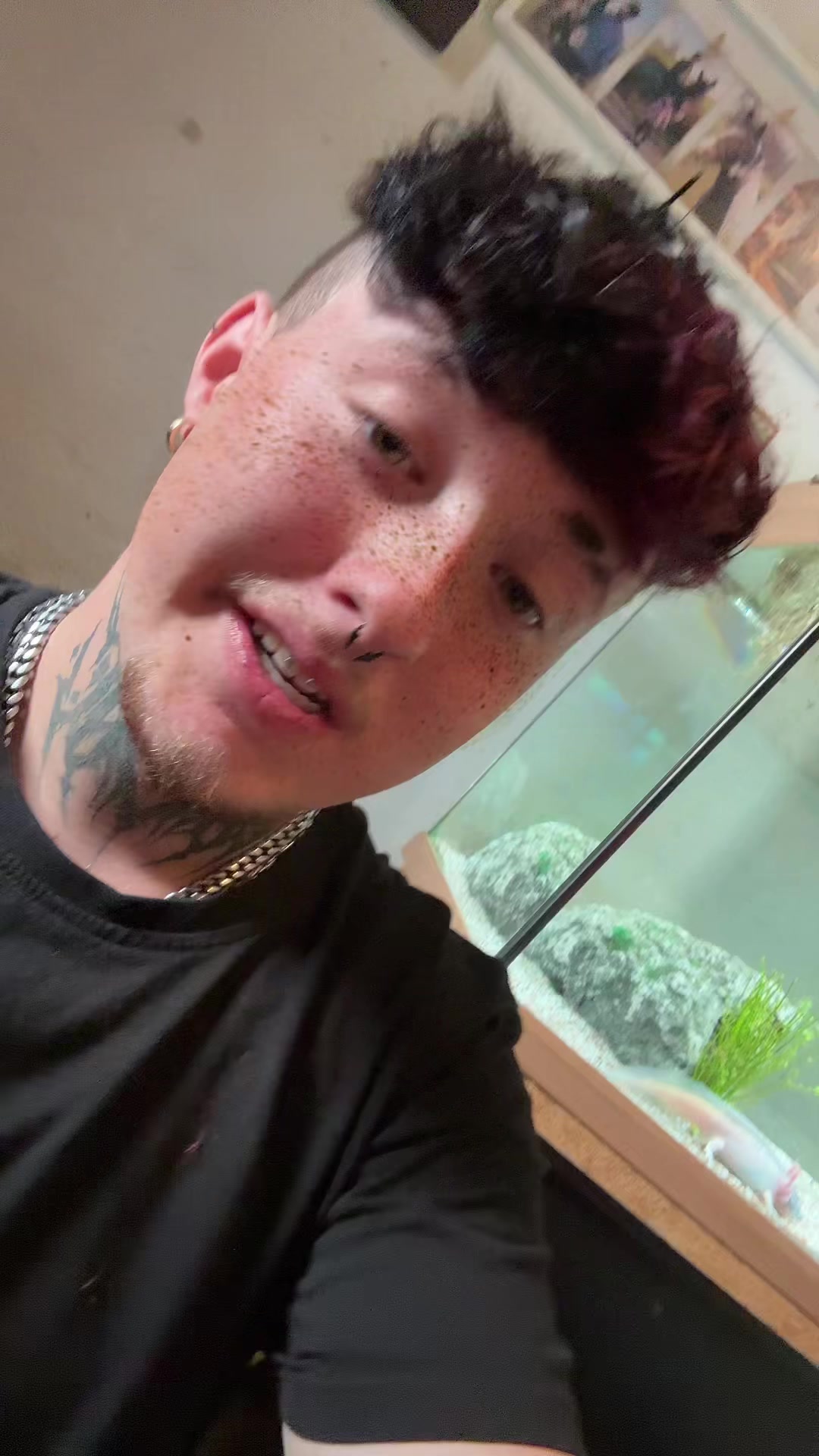 @๐ฅ๐ซง๐น๐๐๐๐๐ซง๐ฅ