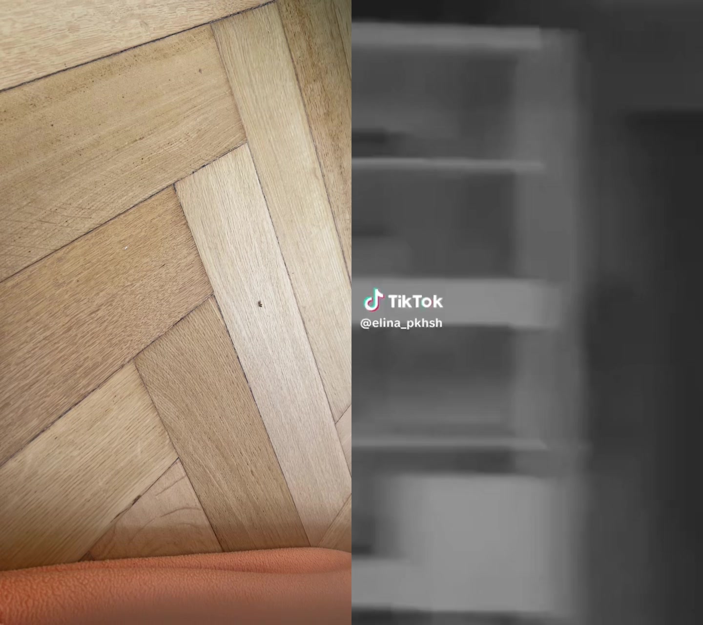 @hawleri706