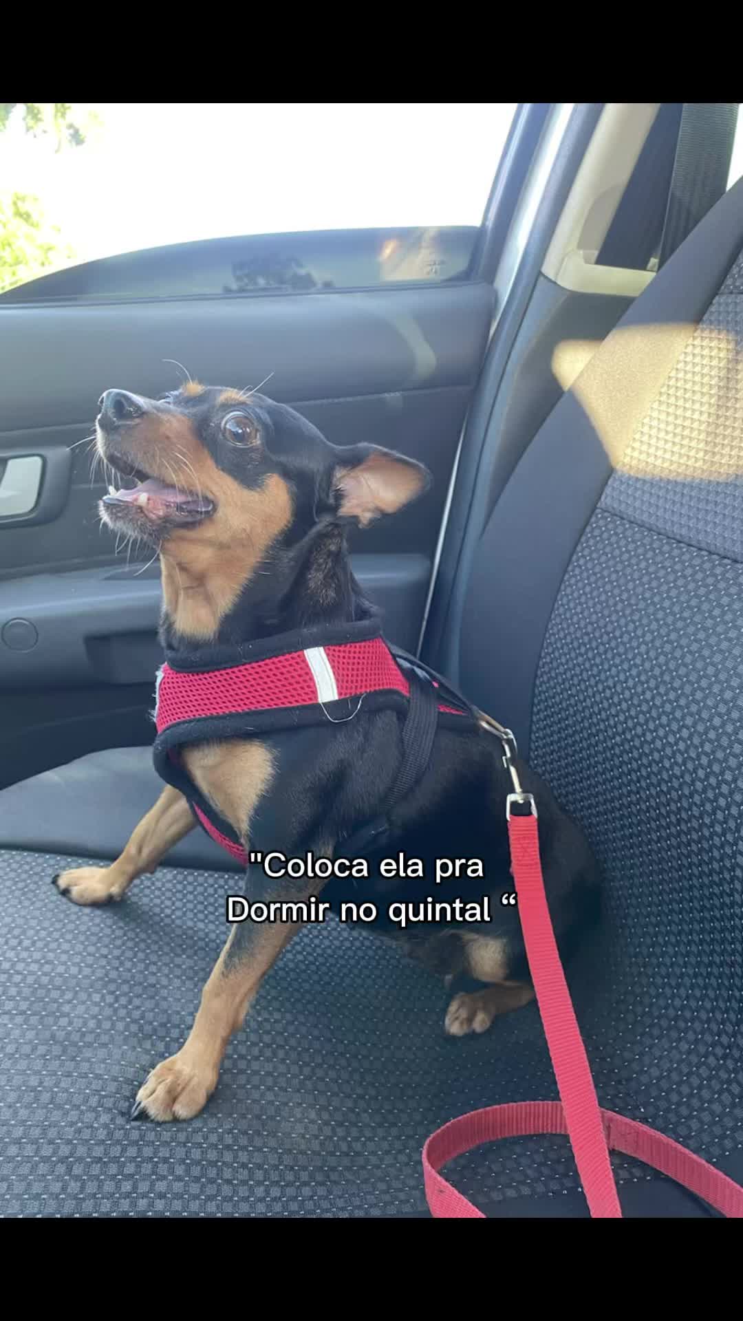 @Grazyx