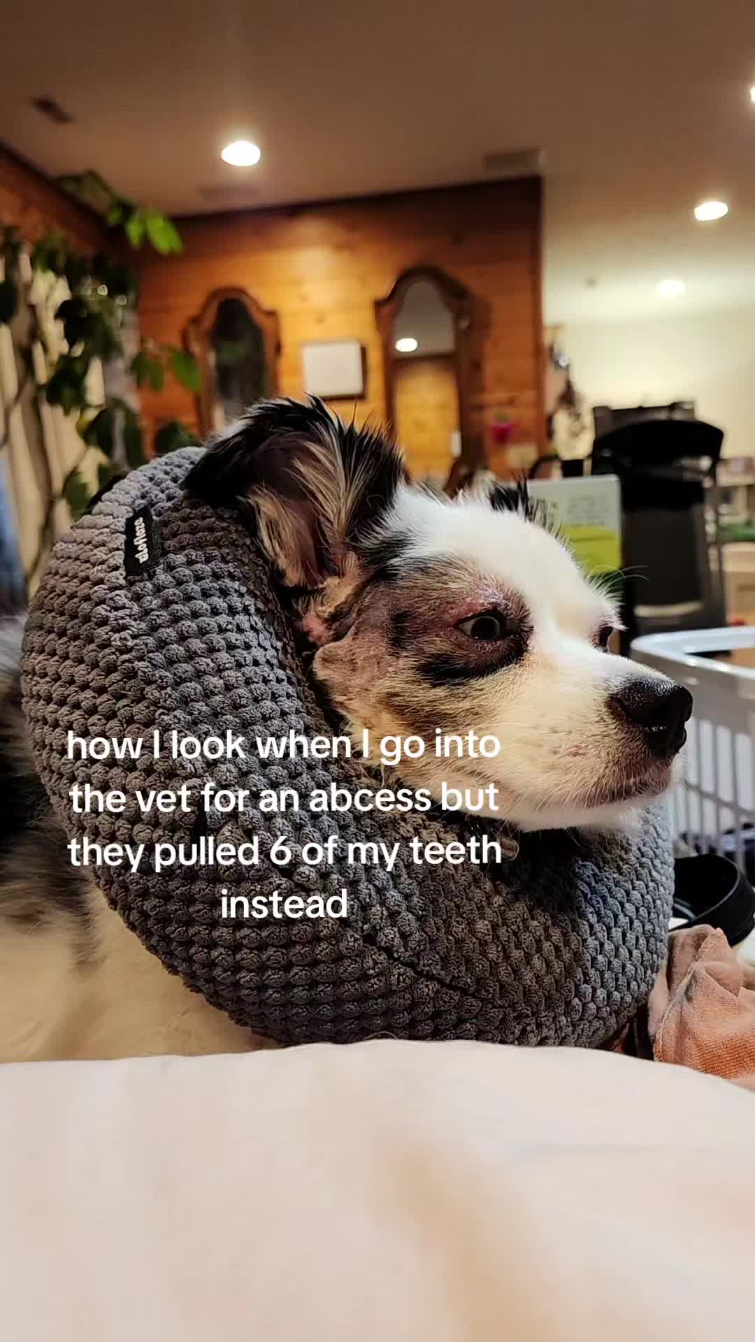 @mrpuddles