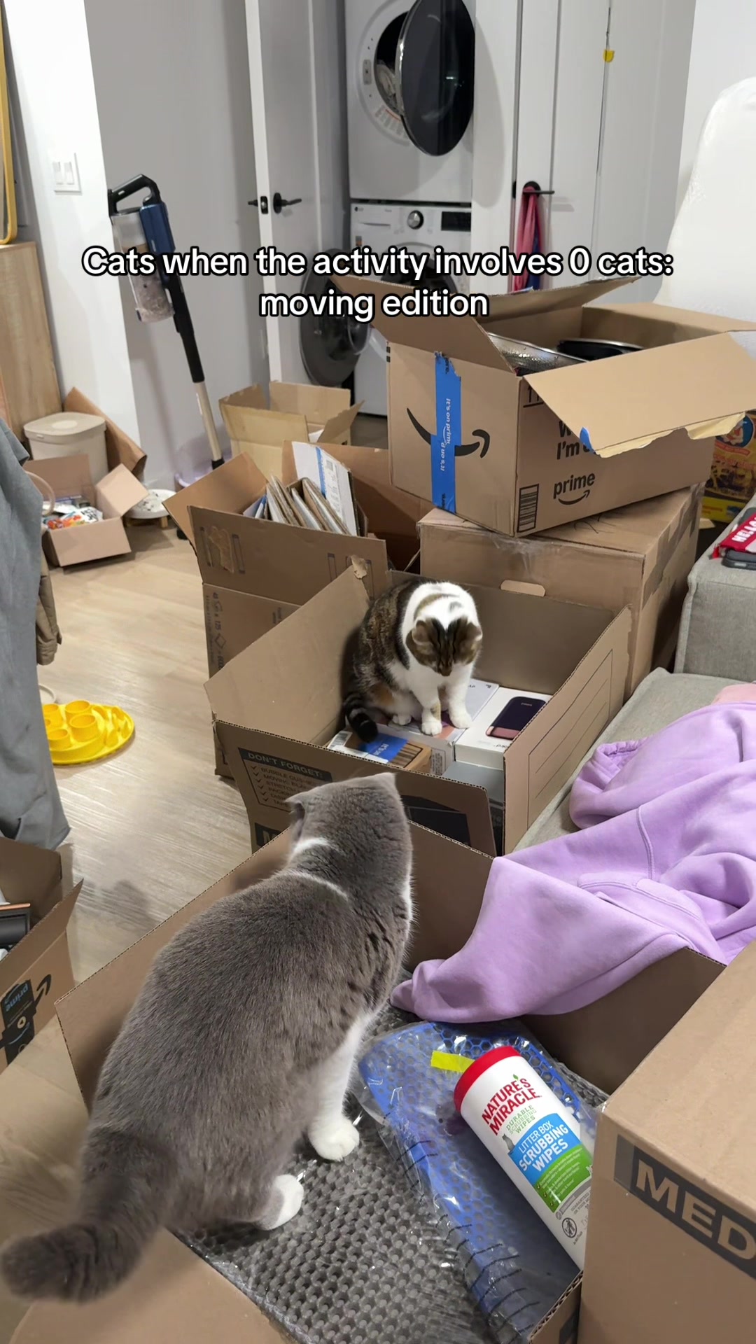 @Suki Purrs