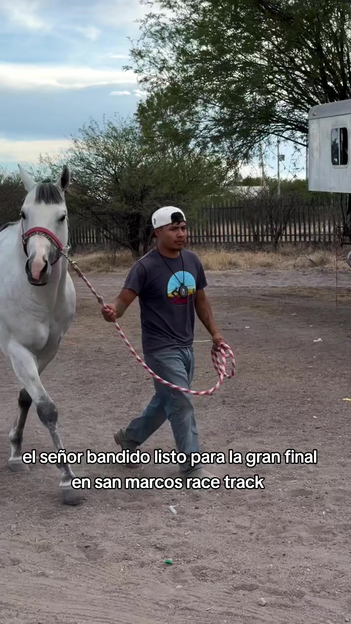 @carriles altos de jalisco🐎