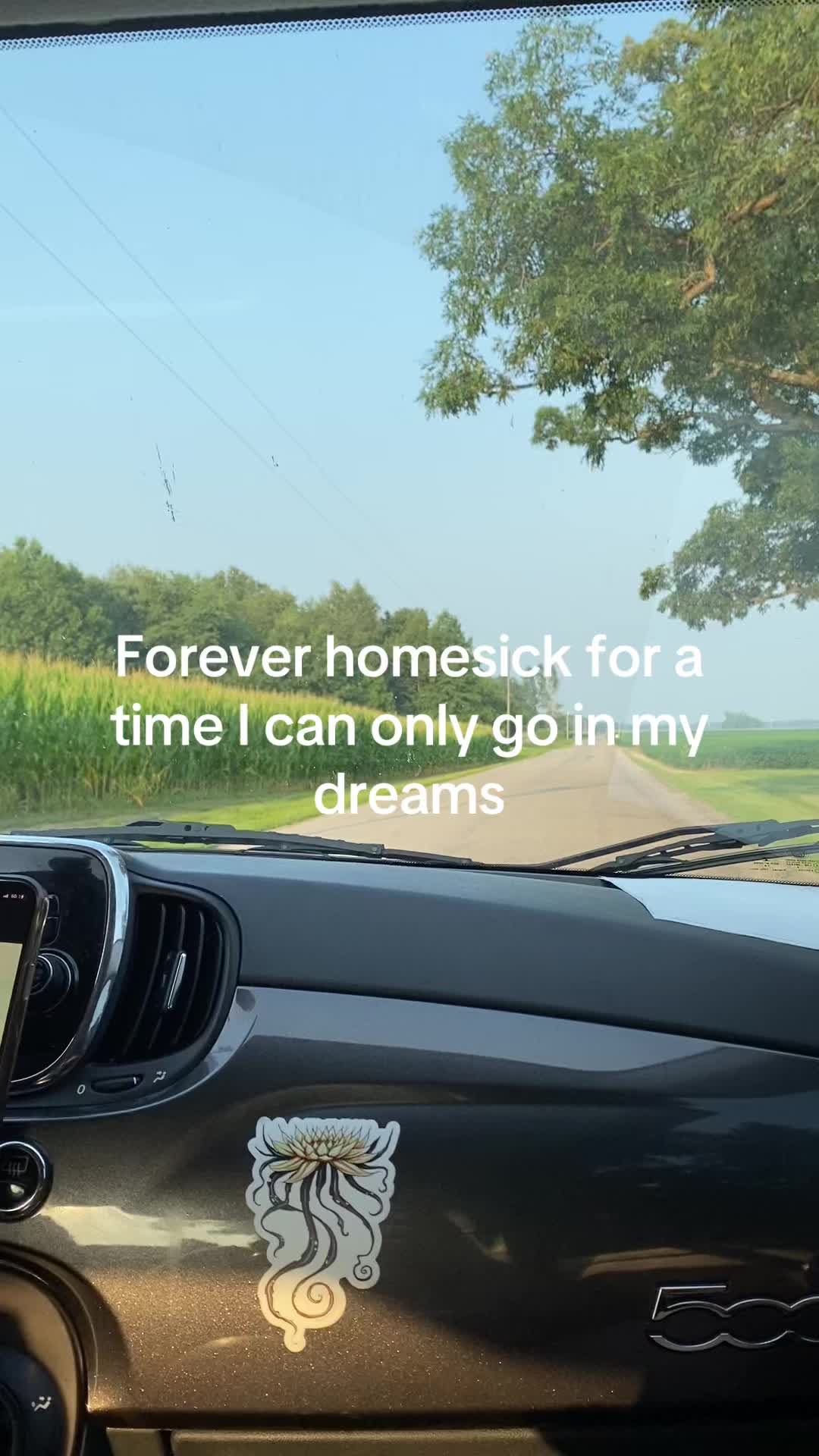@Sav 🖤