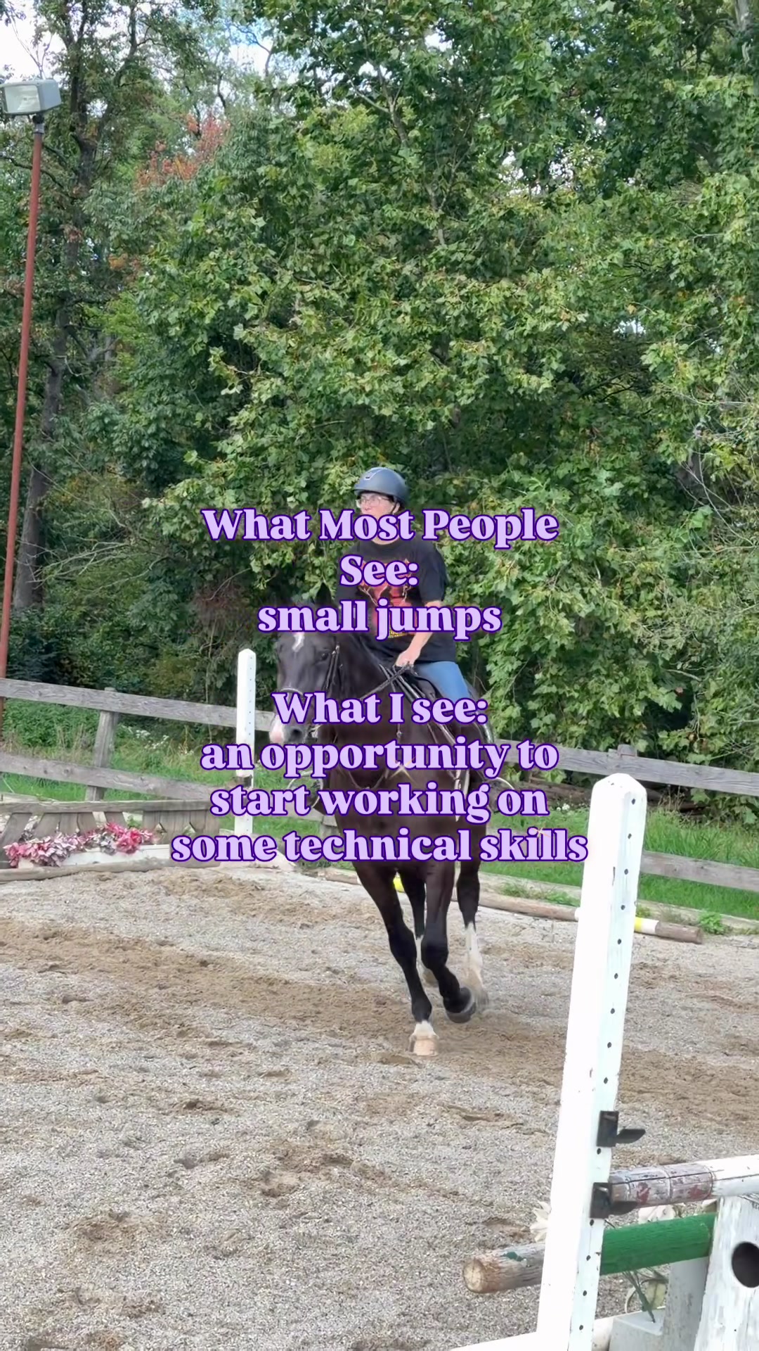 @Maria💜| Equestrian🦄