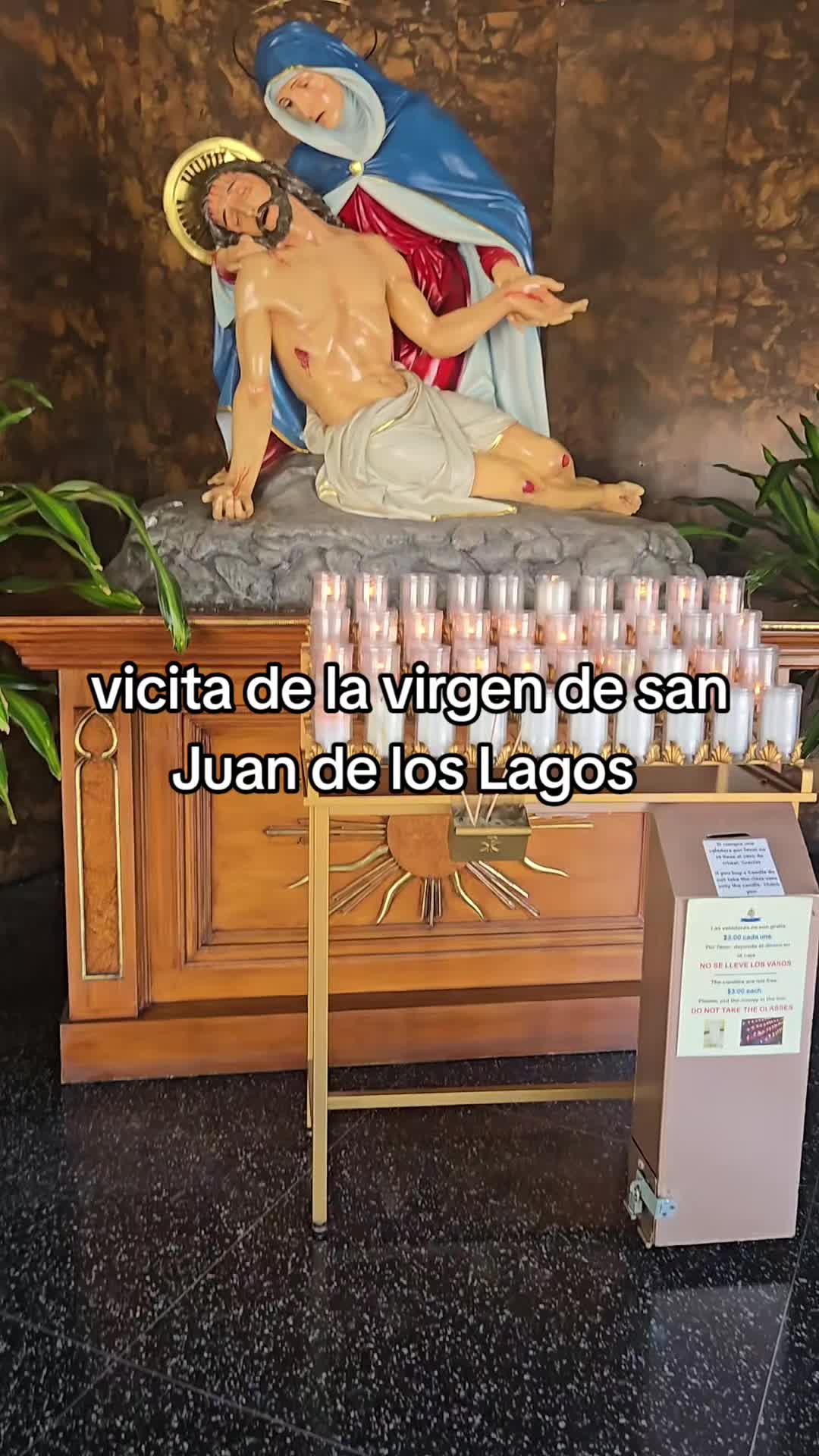 @juliavega376
